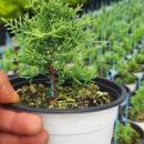 하신농장 이미지