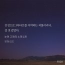 눈먼고래 | [bl] 눈먼 고래의 노래 후기