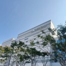 사근동 어린이도서관(지하1층) | 대구도서관 어린이 자료실 방문 후기 대구 아이랑 가볼 만한 곳