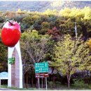 배내골산장 이미지