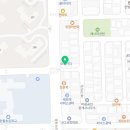 전주강아지분양 미니퍼피 가정견사 직영 이미지