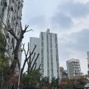 강남건영아파트 | [성동구] 송정동 건영아파트