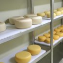 경북대구낙농협동조합 이미지