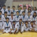 송탄 경희대 태권도 이미지
