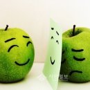 씨에스아이 이미지
