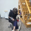 루이앤코코 이미지