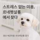 르네펫살롱 이미지
