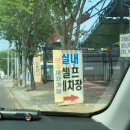 정성 들여 셀프 🖐세차하기