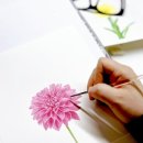 봄맞이 꽃그림 보태니컬 아트 이미지