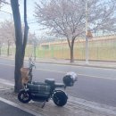 타이탄 짐 | 전동스쿠터 타이탄 600프로 타고 벚꽃 라이딩 가요