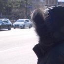 모던복싱클럽 이미지