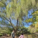 정발산공원 화장실-2 이미지