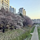 세븐일레븐 평택은혜로점 이미지