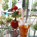 1001안경점 이미지