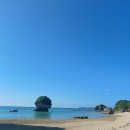 파란행정사 이미지