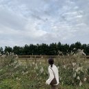 기연목장 이미지