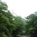 매곡주유소 이미지