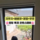 소소유유 이미지