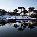 수*류 이미지