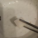 수락산역 후라이드치킨이 근본인 맛집 보리통호프 내돈내산 솔직후기