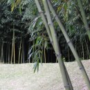 운곡노모당 | 전라도정자기행-화순 관누정(1)