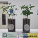 아산시지체장애인협회 | [강원도지체장애인협회] 인제군지회, 친환경 100% 생분해되는 물티슈를 생산으로 장애인 자립 일자리 창출!