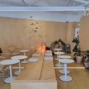 디카프리 완산 이미지