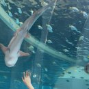 국립해양박물관 공연장 이미지