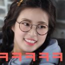 소나무안경 이미지