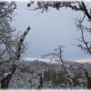 1월16-17(1박2일)제주 한라산눈꽃산행및 돈내코코스-올레트레킹안내 이미지