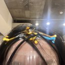 머꼬갈래 | 대치동미용실 추천 준오헤어 대치점 유현정 디자이너 앞머리 모류교정펌 후기