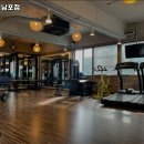 메디핏 이미지