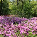 북서울꿈의숲(주차장) 이미지