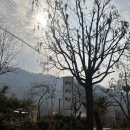 용천로 | 양평 예사랑, 깊은 맛이 우러나는 내돈내산 누룽지백숙 맛보기