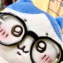 인형천국 오천점 | 날이 너무 더워서 다 죽게 생겼소...