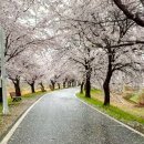 Let's be happy, right now(출근길🌸) 이미지