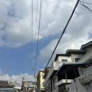 동네멋집 수원화성 우디38 솔직후기