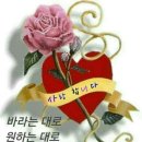 행복한날 이미지