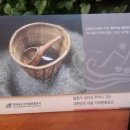 도로시(Dorothy) 이미지