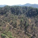 곡성-240 이미지