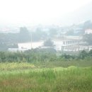 노화초등학교 이미지