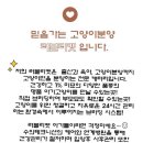 다몽헤어 이미지