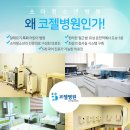 대전코젤병원 이미지
