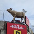 월정축산 Daum카페