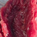 솔향생고기 이미지