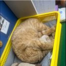 원천중학교 이미지