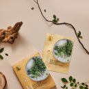 태양헤어 이미지