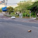 강정동-1 이미지