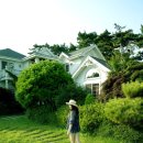 디퍼펜션 이미지