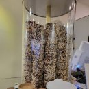 정자중학교 | [경기성남/분당] 경기 성남 분당 정자역 금곡공원 정자중학교 디저트 유명 유기농 아이스크림 마망...